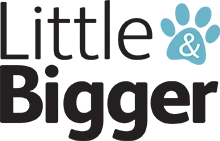 Logo Little Bigger