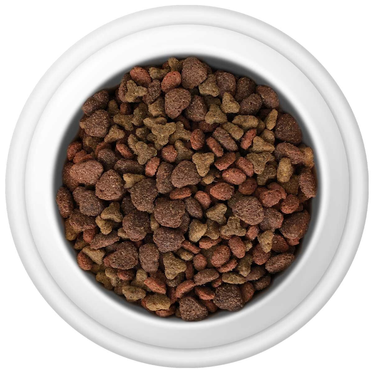 A white bowl with dry cat food
